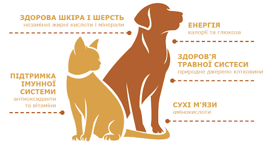 Здорова шкіра і шерсть: незамінні жирні кислоти і мінерали, підтримка імунної системи: антиоксиданти та вітаміни, енергія: калорії та вуглеводи, здоров'я травної системи: природне джерело клітковини, сухі м'язи: аміноксилоти